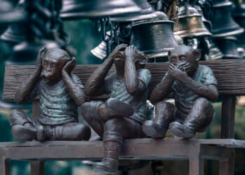 Trasparenza, l’isola del non fare e non dire. E rispondere quando pare