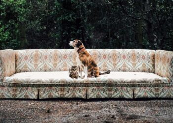 Una vita da cani (e gatti)