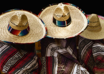 Mancano i revisori da un anno, enti e consorzi rischiano la paralisi. E la giunta regionale «delibera di deliberare» un altro giorno