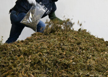 Il (verde) granaio di Roma