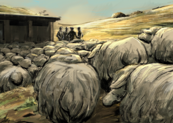 La transumanza della polvere bianca