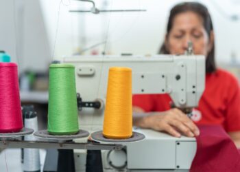 Dalla passione per il cucito alla «formazione academica», il capitolo finale sulle perle nei curricula dei candidati alla Regionali