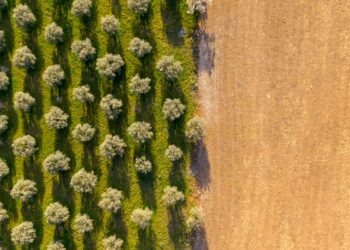 La presidente, il capo di gabinetto e l’agriturismo di lusso: «Progetto congelato finché avremo incarichi pubblici»